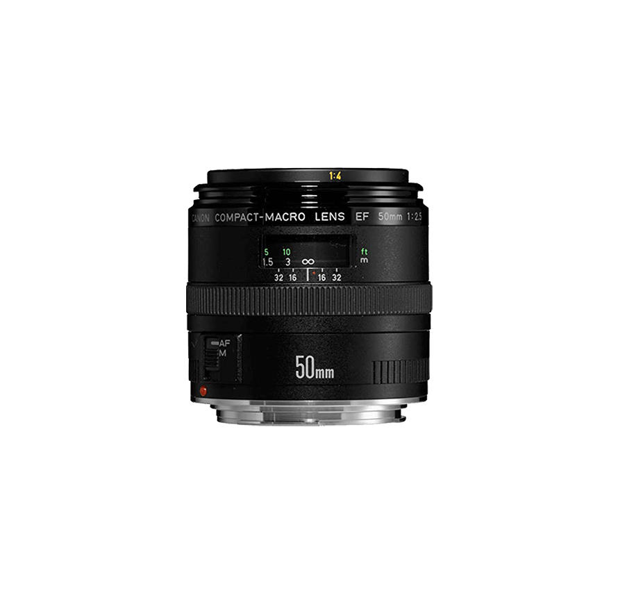 Canon EF50mm F2.5コンパクト マクロレンズ　レンタル